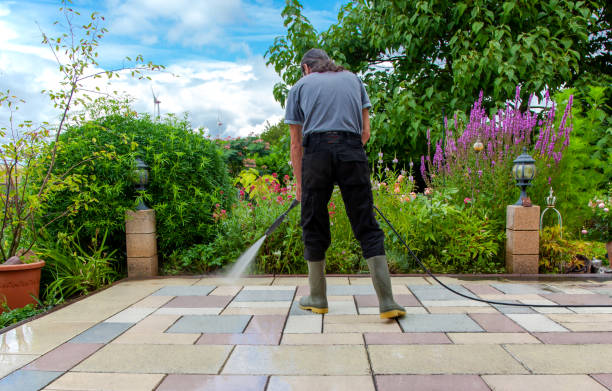 Best Boat and Dock Cleaning  in Loveland, CO